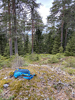 simenee_20200720_5f156666c0a32.jpeg