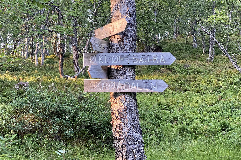 Ti meter frå dette skiltet finn ein sti opp mot Kløftsætra og etter kvart T-stien.