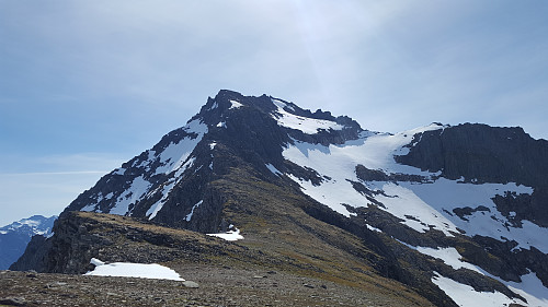 Jønshornet