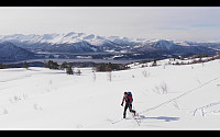maxgolev_20200315_5e6e683da13b5.jpg