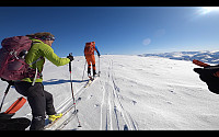maxgolev_20200321_5e7670f5d8465.jpg