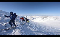 maxgolev_20200321_5e7670f9117e7.jpg