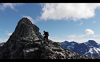 maxgolev_20200705_5f0188c3785ae.jpg
