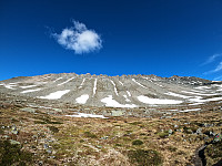 maxgolev_20200705_5f0188cf756cc.jpg