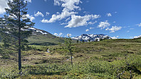 maxgolev_20200705_5f0188e332635.jpg