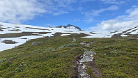 maxgolev_20200717_5f113904498a7.jpeg