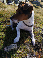 Eirik79_20180922_5ba63b87becd9.jpg
