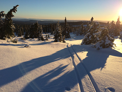 Pudder på lesiden av Nevelfjell