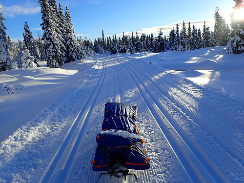 Med Elna og Johnny på slep. De måtte vente i bilen mens vi var på Nevelfjell