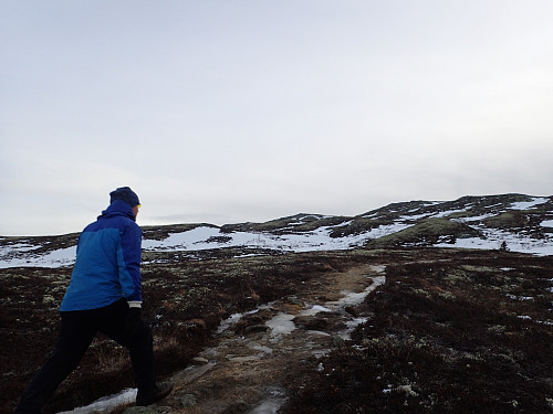 Sørgelig lite snø på 1100 moh