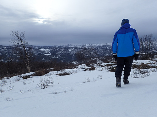 stort sett hardt og fint å gå på de snøfekkane som er.
