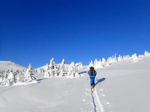 Nydelig vinterlandskap