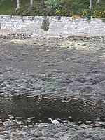 Firing_20180621_5b2c0afac278b.jpg