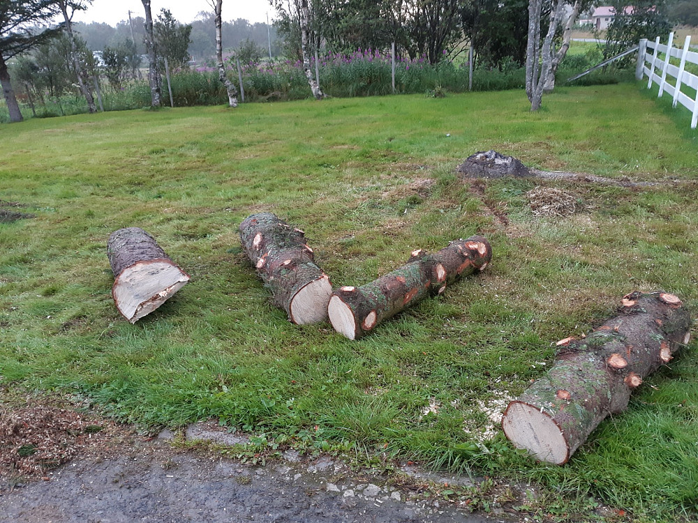 Spor etter dagens økt