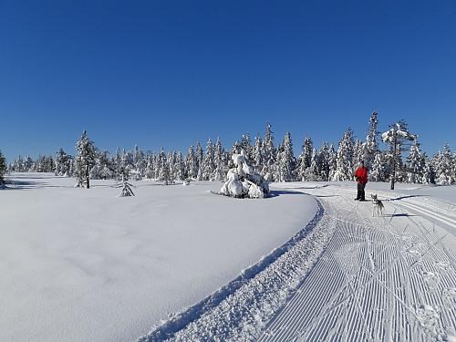 Topp turfølge i dag!