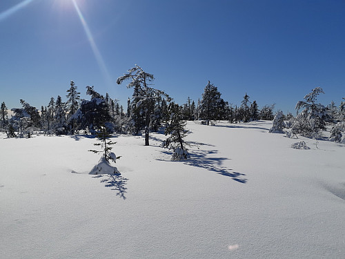 Drømmeturvær
