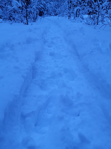Noen hadde tråkka fint spor til meg. Sjøl hadde jeg 3 par truger i bilen men gikk til fots