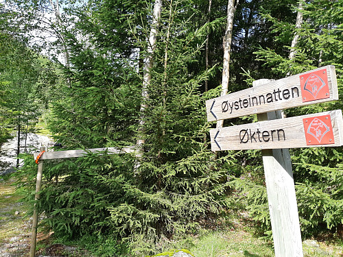 Merka sti opp fra Årmotdalen til Øysteinnatten