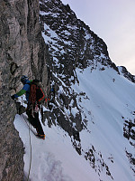 signar_3.jpg