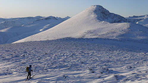 Mot Nautgardstind