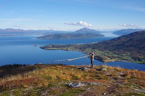 Fra Bjørnetua er det finfin utsikt til Tresfjordbrua, til Vikebukt, mot Sekken, og innover Langfjorden.