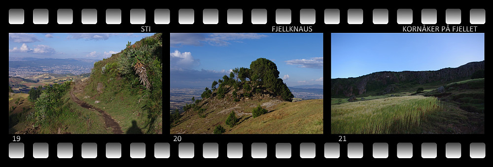 19) Stien ned igjen fra fjellet, med Addis Ababa i bakgrunnen. 20) En liten fjellknaus jeg passerte på vei ned. 21) Kornåker på fjellet.