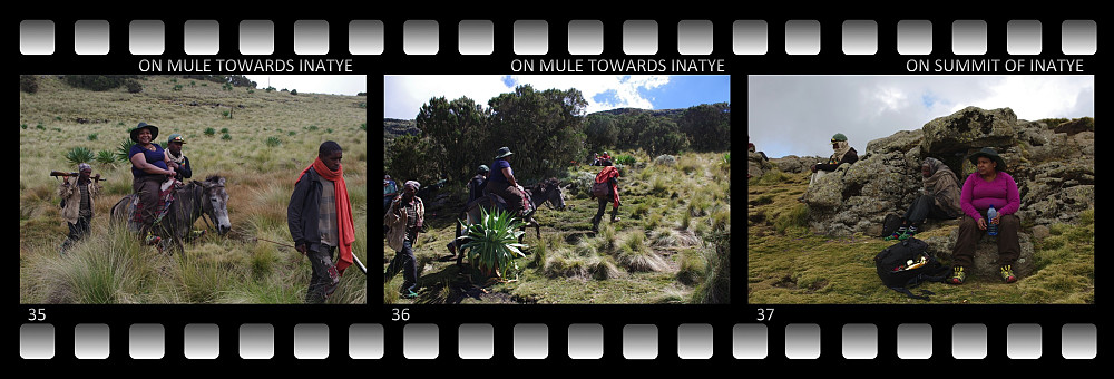 #35: My wife on a mule high up in the Jinbar valley between Gogo and Enatye. #36: On our way towards the summit of Enatye. #37: Lunch-break on top of Enatye.