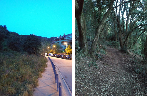 The first part of the run went along the streets of Barcelona (left image), whereas the next part went up through the forests of a very steep hillside.