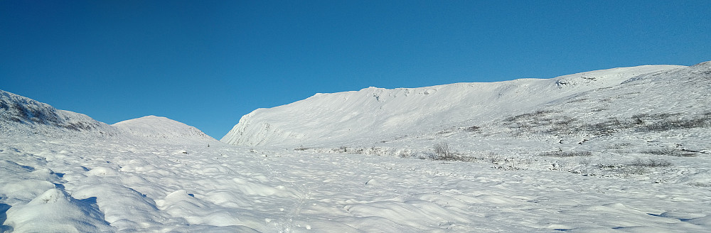 Fra Kvanndalen. Høgsvora til høyre og Geitenibba (854 m.o.h.) til venstre.