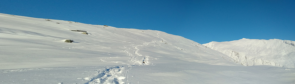 Skispor fra Kleggeskaret til toppen på Geitenibba.
