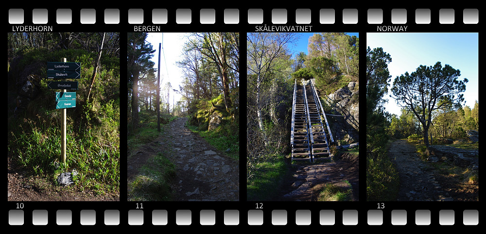 Image 10: Sign showing the path to Lyderhorn. Image 11: The first part of the track. Image 12: The stairs leading down to Skålevikvatnet. Image 13: The beautiful landscape.
