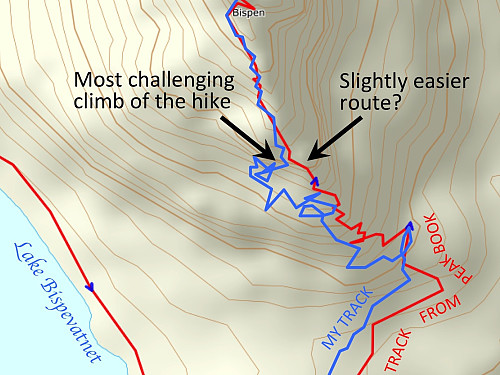 Image 10: My GPS track (blue) overlaying one that I found here on Peakbook (red). While I ended up climbing the mountain a little bit to the left of the edge of the mountain ridge, the appropriate route seems to be slightly to the right of the edge. The most difficult/challenging part of my track is pointed out with an arrow.