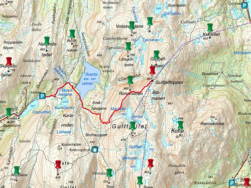 Typisk rute til Gullfjelltoppen som er 987 meter høy. Gullfjellet 914 ligger bare 2-3 km lengre sør.