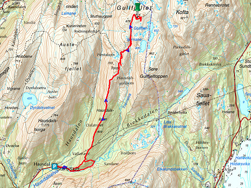 Vår GPS-tacking fra Hausdalen P-plass til Gullfjellet 914 og tilbake denne dagen. I nedre delen av bildet sees sløyfen hvor vi tok oss rett gjennom skaugen på vei opp, men fulgte stien på vei ned igjen.