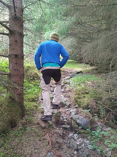 Den første del av turen fulgte vi en sti gjennom skogen.