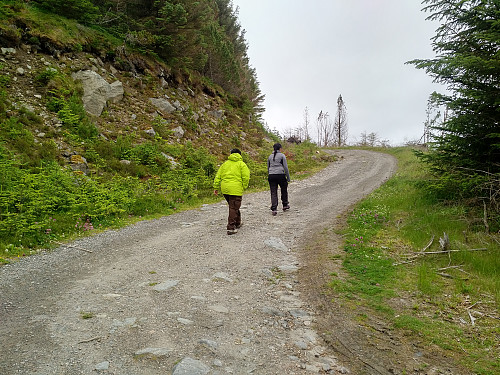 Grusveien opp "Storfjellrøra" (på vei opp til Bergedalen).