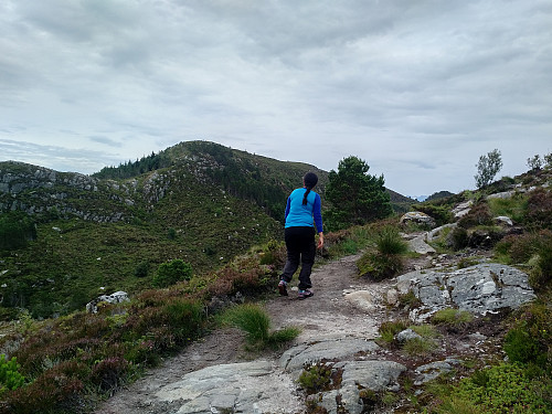 På vei opp mot Signalen langs vestsida av Sætredalen. Fjelltoppen på andre sida av Sætredalen er Middagstua (163 m.o.h.).