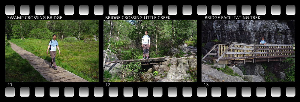 Image #11: Bridge crossing a large swamp on the way to the Pulpit Rock. Image #12: A bridge crossing a little creek. Image #13: At this spot a bridge has been made just to facilitate the trek.