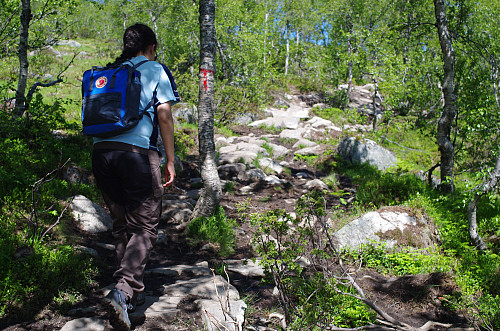 Image #3: The track up from Skjeggedalen Parking Lot to the hanging valley above. This very first part of the trek is also the steepest part of the path towards the Troll's Tongue.