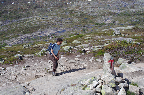 Image #6: The climb up towards the pass between Hettanuten and Grytenuten, i.e. the pass called Gryteskaret (or sometimes Hettaskaret). There is still some climbing to do to get into the pass, but not as hard as the first climb up from Skjeggedalen valley.