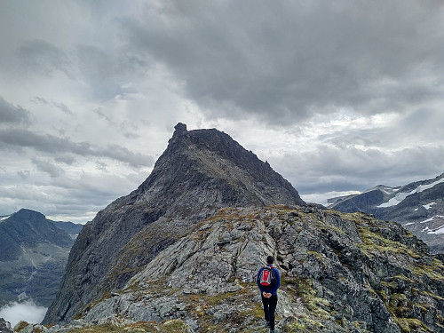 På vei videre mot Dronninga. Også på dette bildet går Dronninga litt i ett med Kongen, som ligger bakom, men nordspiret på Dronninga stikker seg tydelig frem. Bildet viser ellers tydelig hvor bratt det er fra Kongskneet opp mot topp-platået på Kongen.