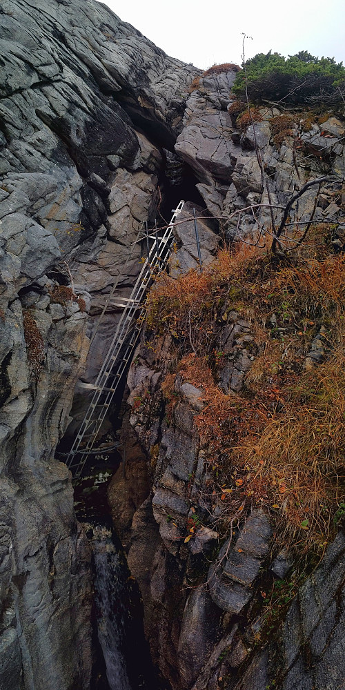 #5: Inngangen til grotte nummer to, som er ovenfor den første grotta. Det er plassert en stige i åpningen, slik at det skal være lettere for folk å klatre inn.