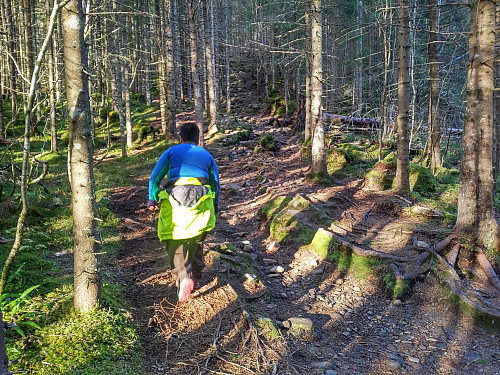#3: ...og dels gjennom granskog.