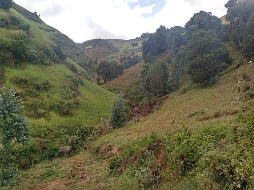 #8: A little side-valley to the larger valley. Such small valleys separate the mountain ridges of Wochecha from each other. In the bottom is a little creek.