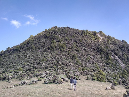 #20: In the saddle between the two summits of Mount Moglē. The two young men walking with me claimed there are hyenas in this forest from time to time.