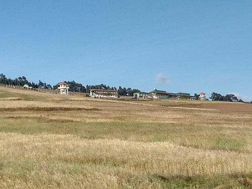 #14: The Entoto Observatory and Research Center. At this point it's less than 2 km left to the Entoto summit.