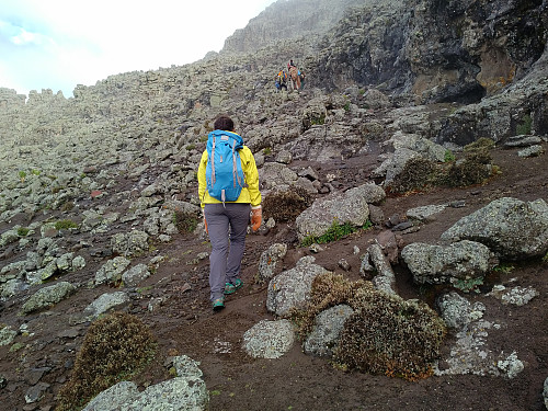 #27: Only 50 meters left to the summit. From Ambiko to Ras Dashen it's about 1350 elevation meters of steep trekking, and at the end another 50 meters of real climbing.