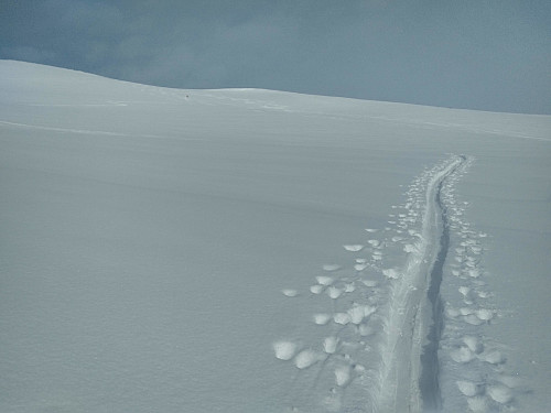 Those ascending the mountain in the morning hours had left a nice ski track for us afternoon trekkers.