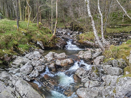 #2: The river Tarlebøelva in the innermost part of Ulriksdalen Valley.