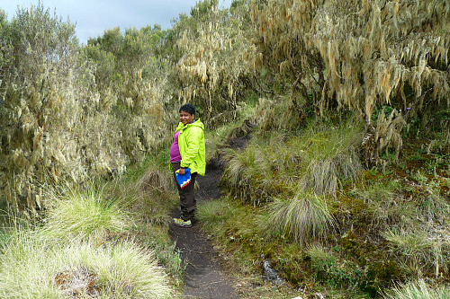 #2: The trail leading past the hill of the Chennek Viewpoint to the next level viewpoint on the "viewpoint ridge". Notice the indigenous trees with the "old mans beards". In this image my wife is heading back towards the Chennek camp site. Image captured not during the described hike, but the same afternoon, when I visited the 2nd level of the Chennek Viewpoint along with my wife.